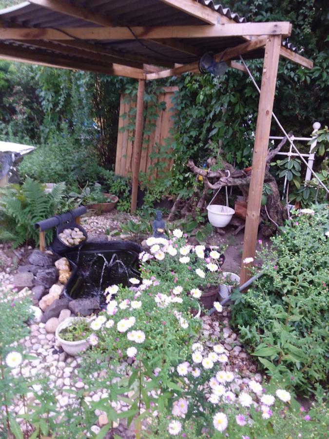Homestay Pieschen Hertz _toller Preis Dresden