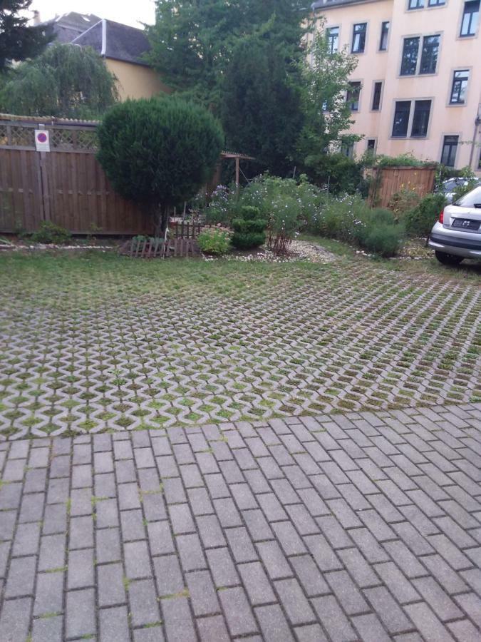 Homestay Pieschen Hertz _toller Preis Dresden
